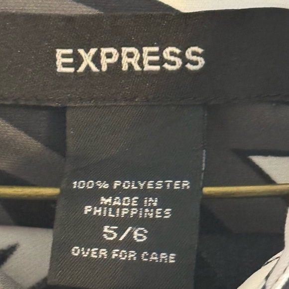 Express Dress - Picture 2 of 3